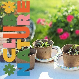 Prêts ! Feu ! Go ! Semez !