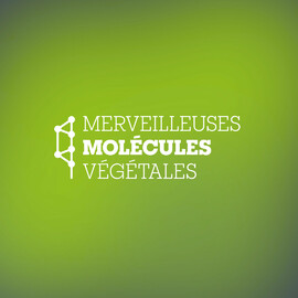 Merveilleuses molécules végétales