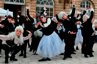 Flash Mob des Anes Stram Gram Le 8 déc 2024