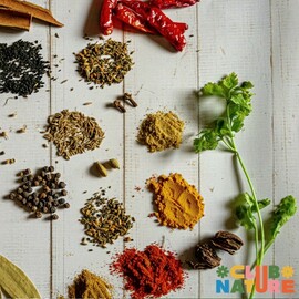 Les stars de la cuisine