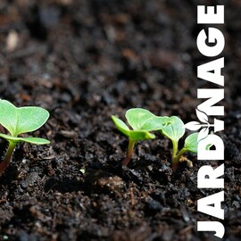 Planter fleurs et légumes au jardin 