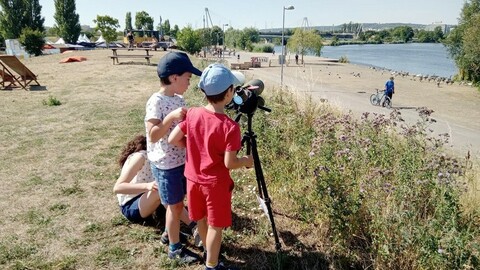 Un été au fil de l'eau : découvrez les animations nature de la Métropole !