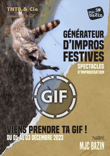 GIF - Festival d'Impro - Crédits photo : Antoine Chretiennot
