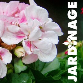 créer des jardinières originales