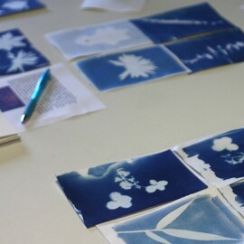 cyanotypes