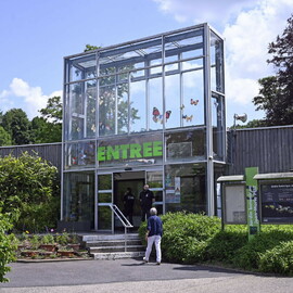 Du végétal à l'ouvrage