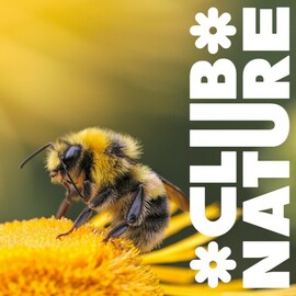 Voyage au cœur de la ruche