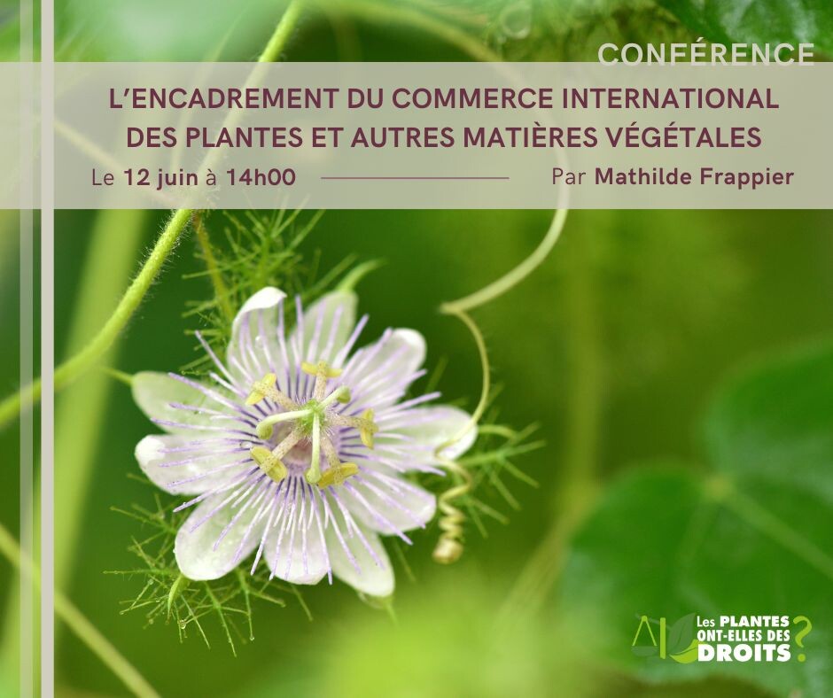 L&#039;encadrement du commerce international des plantes... - Crédits photo : Jardins botaniques du Grand Nancy et de l&#039;Université de Lorraine