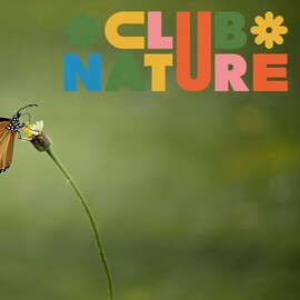 Mission pollinisation 