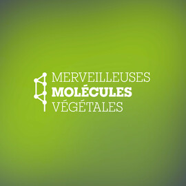 merveilleuses molécules végétales