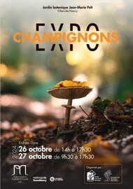 Champignons Du 26 au 27 oct 2024