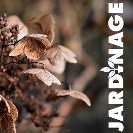 préparer son jardin pour l&#039;hiver