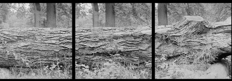 Vincent Chevillon, Time lapses us…, 2016, photo : Vincent Chevillon © ADAGP, Paris