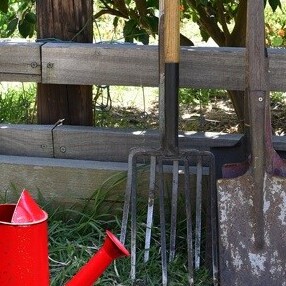 Préparer son jardin pour l’hiver