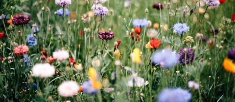 Journée franco-allemande 2026