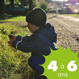 Le nez dans les agrumes
